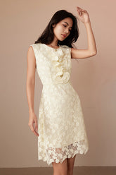 Champagne Lace Sleeveless Short Casual Holiday Dress